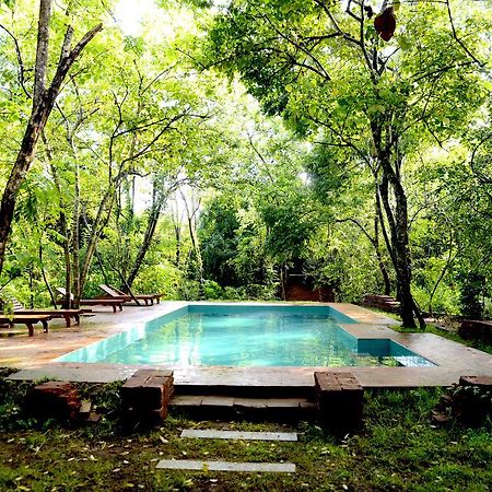 ホテル Mahagedara Wellness Retreat Avudangawa エクステリア 写真