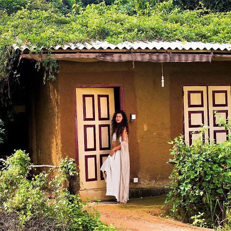ホテル Mahagedara Wellness Retreat Avudangawa エクステリア 写真