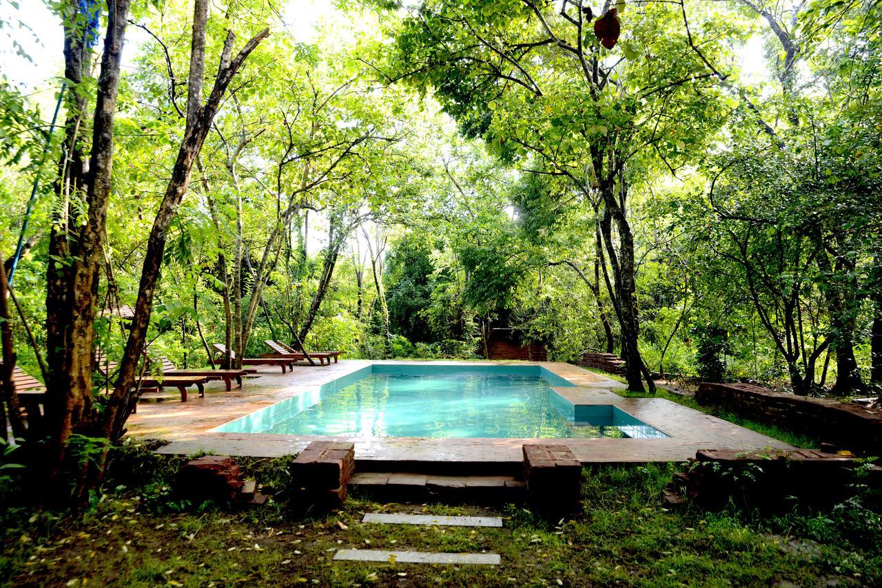 ホテル Mahagedara Wellness Retreat Avudangawa エクステリア 写真