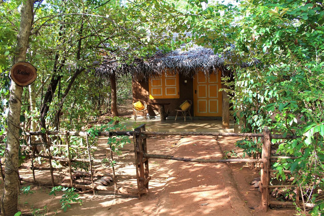 ホテル Mahagedara Wellness Retreat Avudangawa エクステリア 写真
