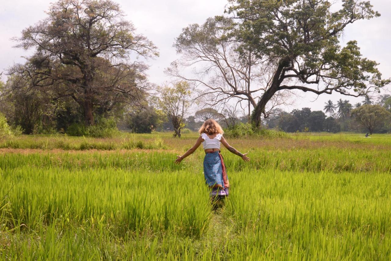 ホテル Mahagedara Wellness Retreat Avudangawa エクステリア 写真