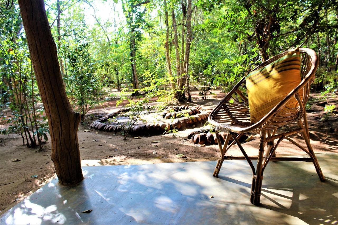 ホテル Mahagedara Wellness Retreat Avudangawa エクステリア 写真