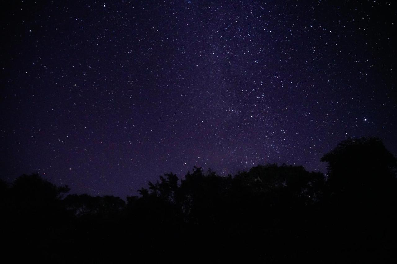 ホテル Mahagedara Wellness Retreat Avudangawa エクステリア 写真
