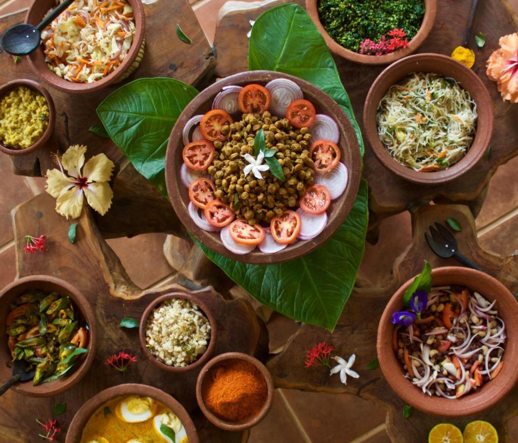 ホテル Mahagedara Wellness Retreat Avudangawa エクステリア 写真