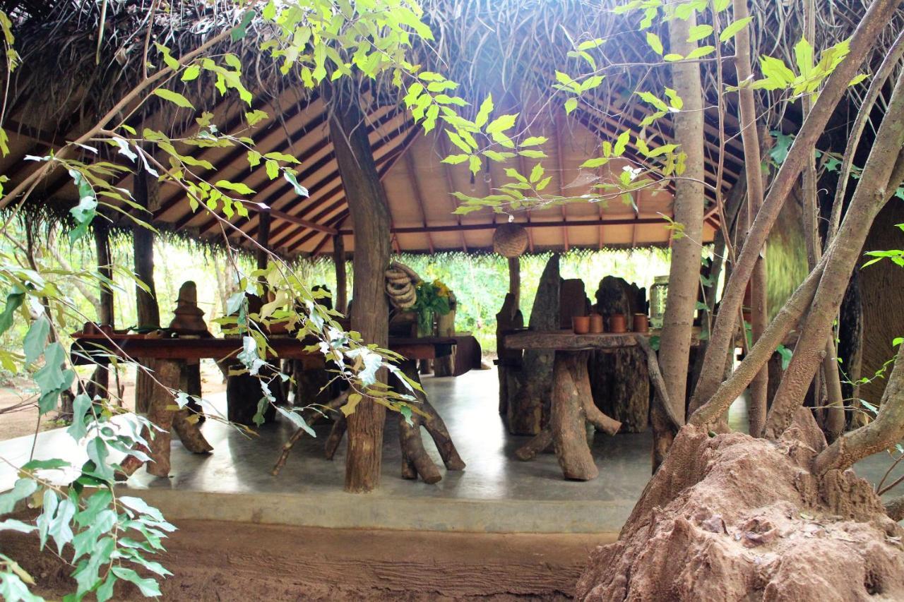 ホテル Mahagedara Wellness Retreat Avudangawa エクステリア 写真