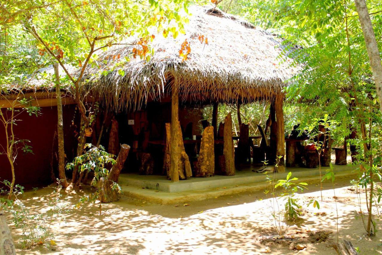 ホテル Mahagedara Wellness Retreat Avudangawa エクステリア 写真