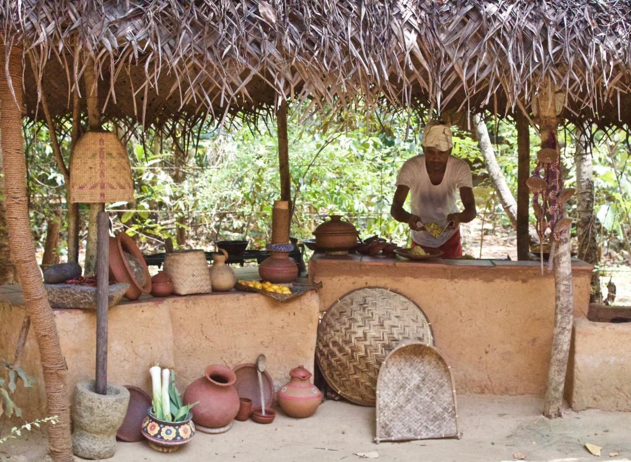 ホテル Mahagedara Wellness Retreat Avudangawa エクステリア 写真