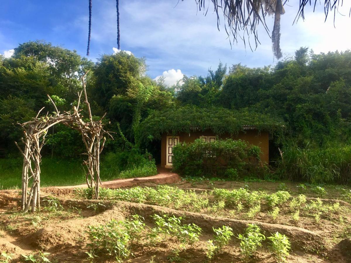 ホテル Mahagedara Wellness Retreat Avudangawa エクステリア 写真