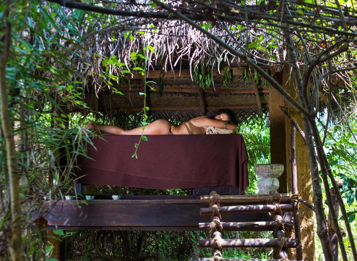 ホテル Mahagedara Wellness Retreat Avudangawa エクステリア 写真